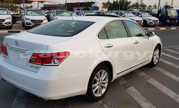 Buy Import Lexus ES White Car in Import - Dubai in Batken Buy Import Lexus ES White Car in Import - Dubai in Batken