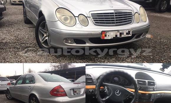 Buy Used Mercedes-Benz E-klasse Silver Car in Bishkek in Bishkek