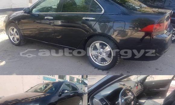 Buy Used Honda Accord Black Car in Bishkek in Bishkek