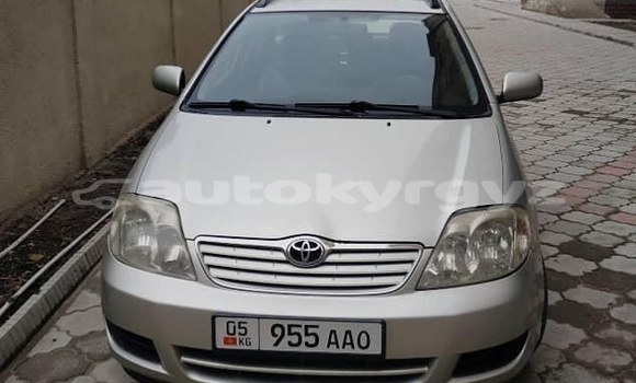 Buy Used Toyota Corolla Silver Car in Bishkek in Bishkek