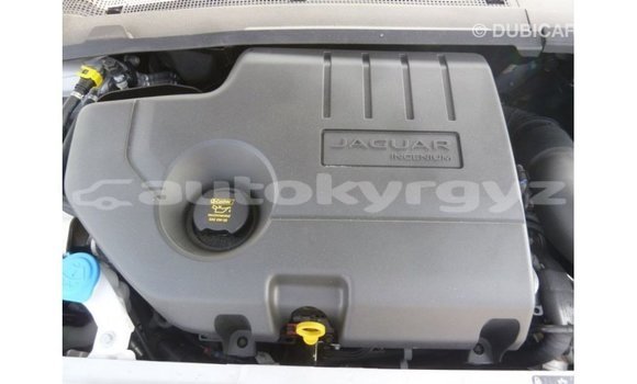 Buy Import Jaguar E-Pace White Car in Import - Dubai in Batken Buy Import Jaguar E-Pace White Car in Import - Dubai in Batken