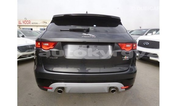 Buy Import Jaguar F-Type Black Car in Import - Dubai in Batken Buy Import Jaguar F-Type Black Car in Import - Dubai in Batken