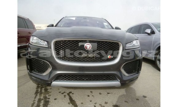 Buy Import Jaguar F-Type Black Car in Import - Dubai in Batken Buy Import Jaguar F-Type Black Car in Import - Dubai in Batken