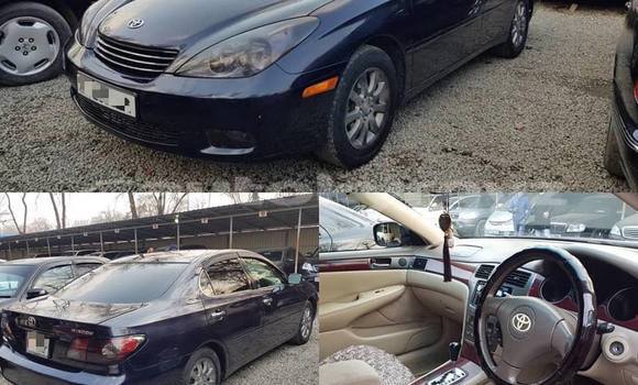 Buy Used Toyota Windom Blue Car in Bishkek in Bishkek