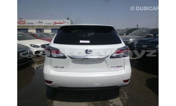 Buy Import Lexus RX White Car in Import - Dubai in Batken Buy Import Lexus RX White Car in Import - Dubai in Batken