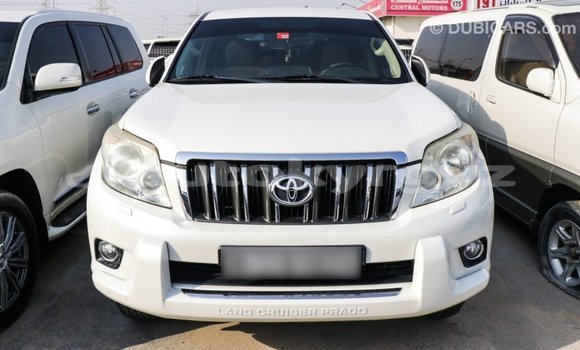 Buy Import Toyota Prado White Car in Import - Dubai in Batken Buy Import Toyota Prado White Car in Import - Dubai in Batken