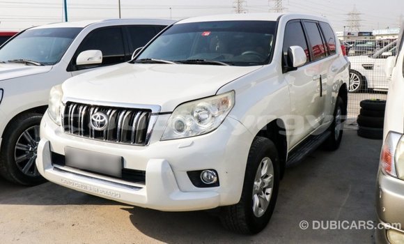 Buy Import Toyota Prado White Car in Import - Dubai in Batken Buy Import Toyota Prado White Car in Import - Dubai in Batken