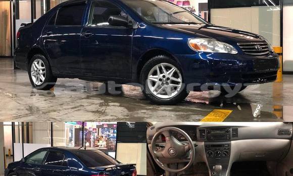 Buy Used Toyota Corolla Blue Car in Bishkek in Bishkek