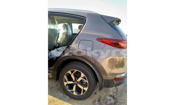Buy Import Kia Sportage Brown Car in Import - Dubai in Batken Buy Import Kia Sportage Brown Car in Import - Dubai in Batken