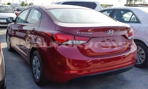 Buy Import Hyundai Elantra Red Car in Import - Dubai in Batken Buy Import Hyundai Elantra Red Car in Import - Dubai in Batken