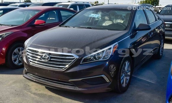 Buy Import Hyundai Sonata Brown Car in Import - Dubai in Batken Buy Import Hyundai Sonata Brown Car in Import - Dubai in Batken