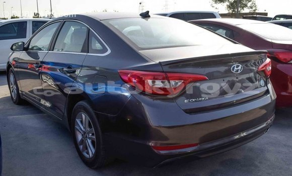 Buy Import Hyundai Sonata Brown Car in Import - Dubai in Batken Buy Import Hyundai Sonata Brown Car in Import - Dubai in Batken