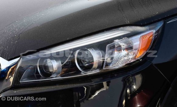 Buy Import Kia Sorento Black Car in Import - Dubai in Batken Buy Import Kia Sorento Black Car in Import - Dubai in Batken