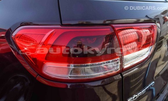 Buy Import Kia Sorento Brown Car in Import - Dubai in Batken Buy Import Kia Sorento Brown Car in Import - Dubai in Batken