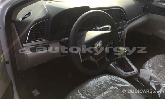 Buy Import Hyundai Elantra White Car in Import - Dubai in Batken Buy Import Hyundai Elantra White Car in Import - Dubai in Batken