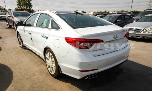 Buy Import Hyundai Sonata White Car in Import - Dubai in Batken Buy Import Hyundai Sonata White Car in Import - Dubai in Batken