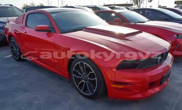 Buy Import Ford Mustang Red Car in Import - Dubai in Batken Buy Import Ford Mustang Red Car in Import - Dubai in Batken