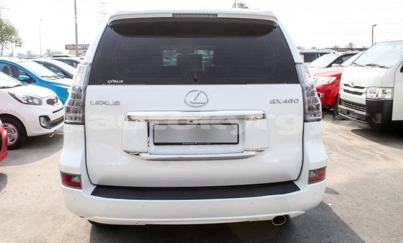 Buy Import Lexus GX White Car in Import - Dubai in Batken Buy Import Lexus GX White Car in Import - Dubai in Batken