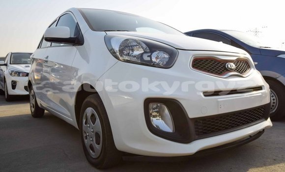 Buy Import Kia Picanto White Car in Import - Dubai in Batken Buy Import Kia Picanto White Car in Import - Dubai in Batken