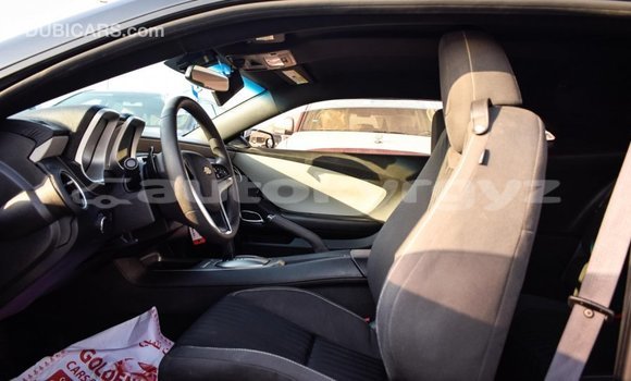 Buy Import Chevrolet Camaro Other Car in Import - Dubai in Batken Buy Import Chevrolet Camaro Other Car in Import - Dubai in Batken