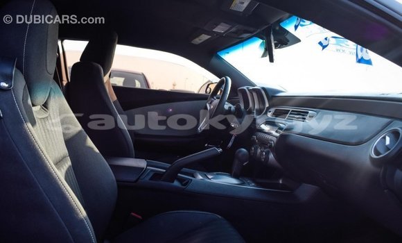 Buy Import Chevrolet Camaro Other Car in Import - Dubai in Batken Buy Import Chevrolet Camaro Other Car in Import - Dubai in Batken