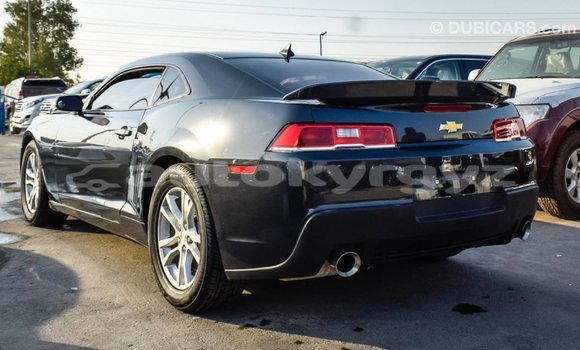 Buy Import Chevrolet Camaro Other Car in Import - Dubai in Batken Buy Import Chevrolet Camaro Other Car in Import - Dubai in Batken