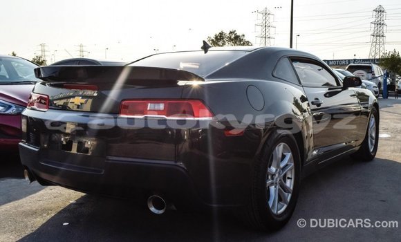 Buy Import Chevrolet Camaro Other Car in Import - Dubai in Batken Buy Import Chevrolet Camaro Other Car in Import - Dubai in Batken