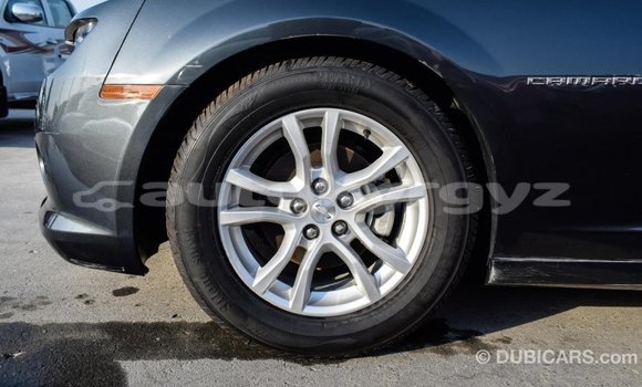 Buy Import Chevrolet Camaro Other Car in Import - Dubai in Batken Buy Import Chevrolet Camaro Other Car in Import - Dubai in Batken