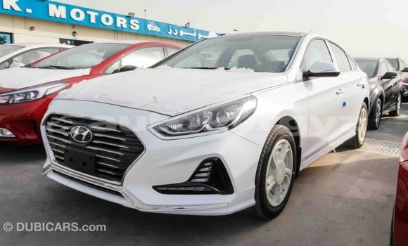 Buy Import Hyundai Sonata White Car in Import - Dubai in Batken Buy Import Hyundai Sonata White Car in Import - Dubai in Batken
