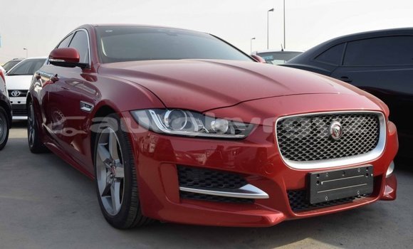 Buy Import Jaguar XE Red Car in Import - Dubai in Batken