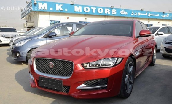 Buy Import Jaguar XE Red Car in Import - Dubai in Batken Buy Import Jaguar XE Red Car in Import - Dubai in Batken