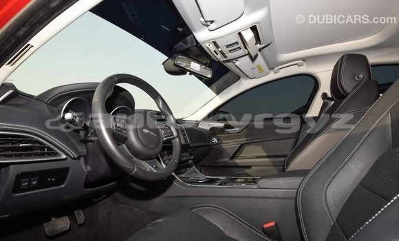 Buy Import Jaguar XE Red Car in Import - Dubai in Batken Buy Import Jaguar XE Red Car in Import - Dubai in Batken