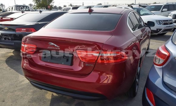 Buy Import Jaguar XE Red Car in Import - Dubai in Batken Buy Import Jaguar XE Red Car in Import - Dubai in Batken