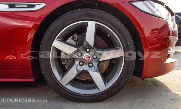 Buy Import Jaguar XE Red Car in Import - Dubai in Batken Buy Import Jaguar XE Red Car in Import - Dubai in Batken