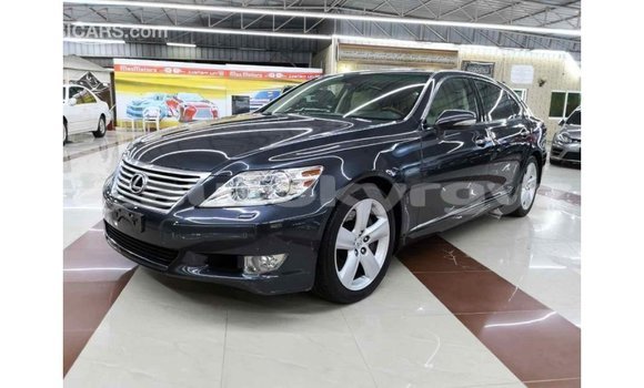 Buy Import Lexus LS Other Car in Import - Dubai in Batken Buy Import Lexus LS Other Car in Import - Dubai in Batken