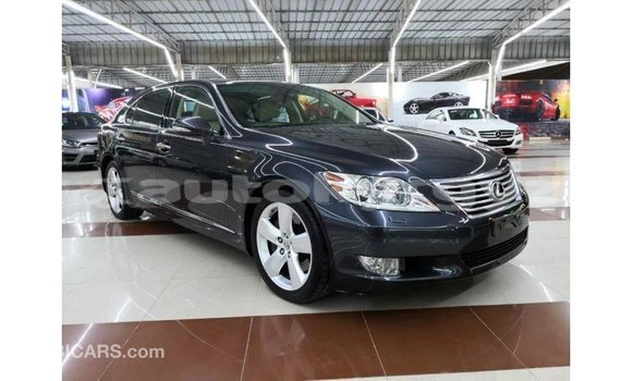 Buy Import Lexus LS Other Car in Import - Dubai in Batken Buy Import Lexus LS Other Car in Import - Dubai in Batken