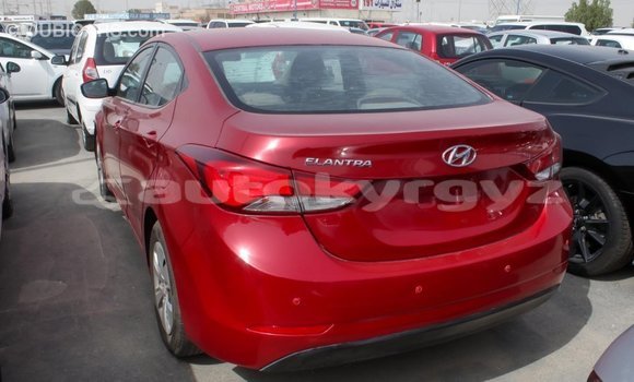 Buy Import Hyundai Elantra Red Car in Import - Dubai in Batken Buy Import Hyundai Elantra Red Car in Import - Dubai in Batken