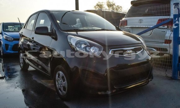 Buy Import Kia Picanto Black Car in Import - Dubai in Batken Buy Import Kia Picanto Black Car in Import - Dubai in Batken