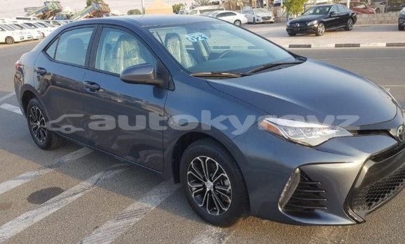 Buy Import Toyota Corolla Other Car in Import - Dubai in Batken Buy Import Toyota Corolla Other Car in Import - Dubai in Batken