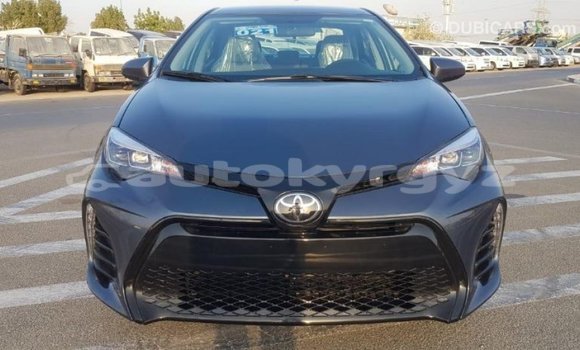 Buy Import Toyota Corolla Other Car in Import - Dubai in Batken Buy Import Toyota Corolla Other Car in Import - Dubai in Batken