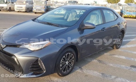 Buy Import Toyota Corolla Other Car in Import - Dubai in Batken Buy Import Toyota Corolla Other Car in Import - Dubai in Batken