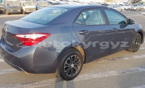 Buy Import Toyota Corolla Other Car in Import - Dubai in Batken Buy Import Toyota Corolla Other Car in Import - Dubai in Batken