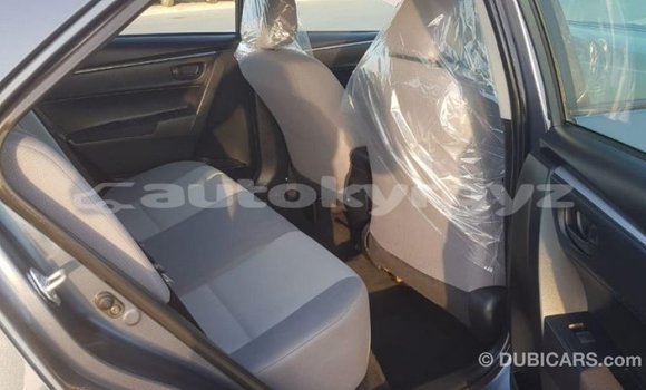 Buy Import Toyota Corolla Other Car in Import - Dubai in Batken Buy Import Toyota Corolla Other Car in Import - Dubai in Batken