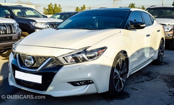 Buy Import Nissan Maxima White Car in Import - Dubai in Batken Buy Import Nissan Maxima White Car in Import - Dubai in Batken