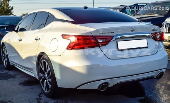 Buy Import Nissan Maxima White Car in Import - Dubai in Batken Buy Import Nissan Maxima White Car in Import - Dubai in Batken