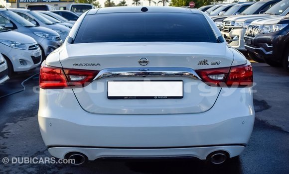 Buy Import Nissan Maxima White Car in Import - Dubai in Batken Buy Import Nissan Maxima White Car in Import - Dubai in Batken