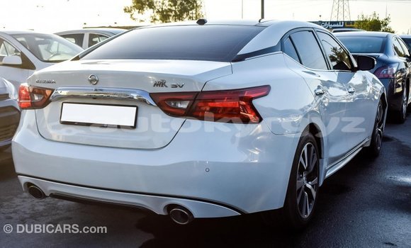 Buy Import Nissan Maxima White Car in Import - Dubai in Batken Buy Import Nissan Maxima White Car in Import - Dubai in Batken