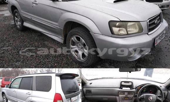 Buy Used Subaru Forester Silver Car in Bishkek in Bishkek