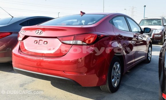 Buy Import Hyundai Elantra Red Car in Import - Dubai in Batken Buy Import Hyundai Elantra Red Car in Import - Dubai in Batken
