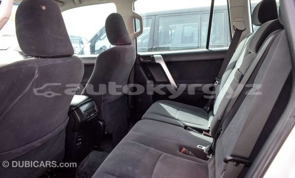 Buy Import Toyota Prado Other Car in Import - Dubai in Batken Buy Import Toyota Prado Other Car in Import - Dubai in Batken